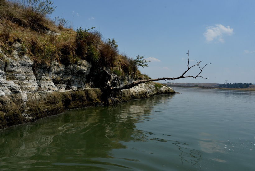 Cambio Climático Edomex. Foto: Gobierno del Edomex