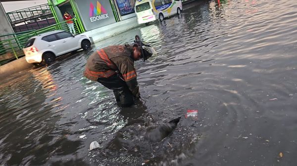 Foto Protección Civil y Bomberos Ecatepec