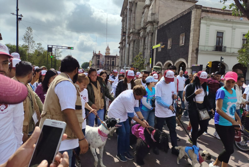 Llevarán servicios gratuitos para animales a los 125 municipios del Edomex. Foto: @Lau_Ramiirez05