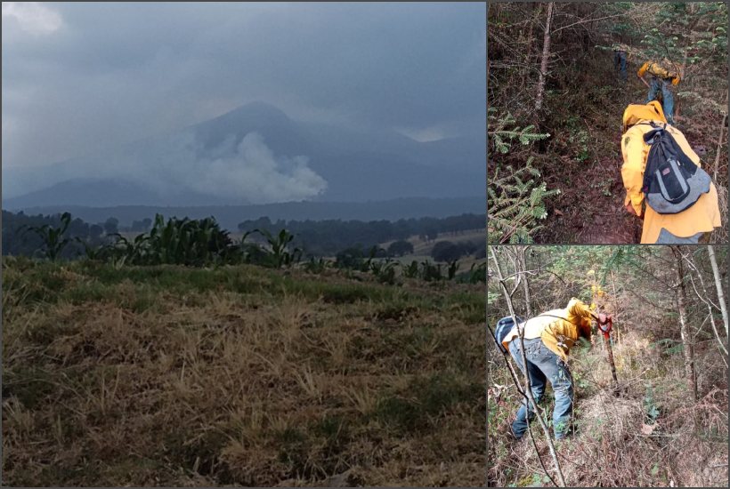 El fuego afecta la zona de Bienes Comunales de Tlacotepec. Foto: Probosque 