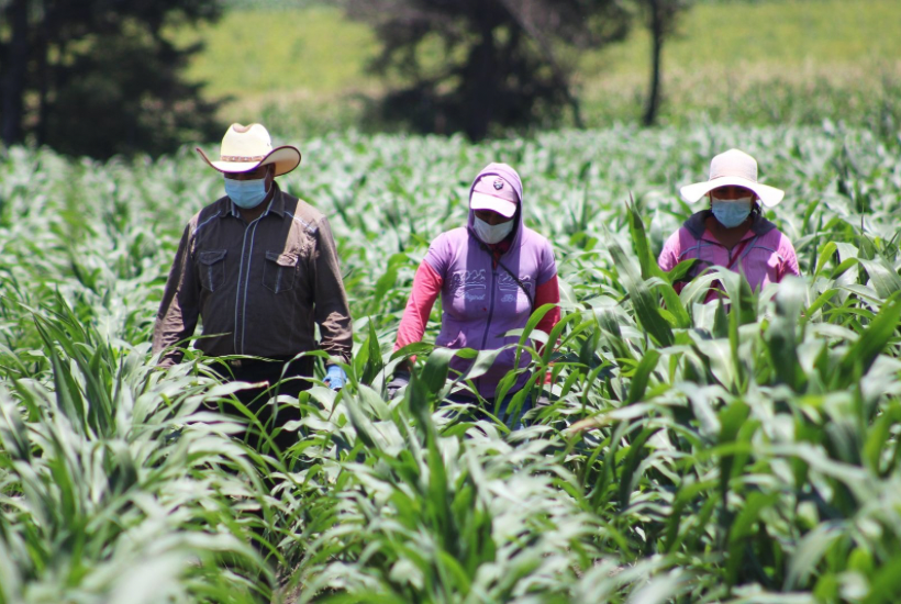 A través del programa de Rescate el Campo se entregan apoyos para mujeres rurales