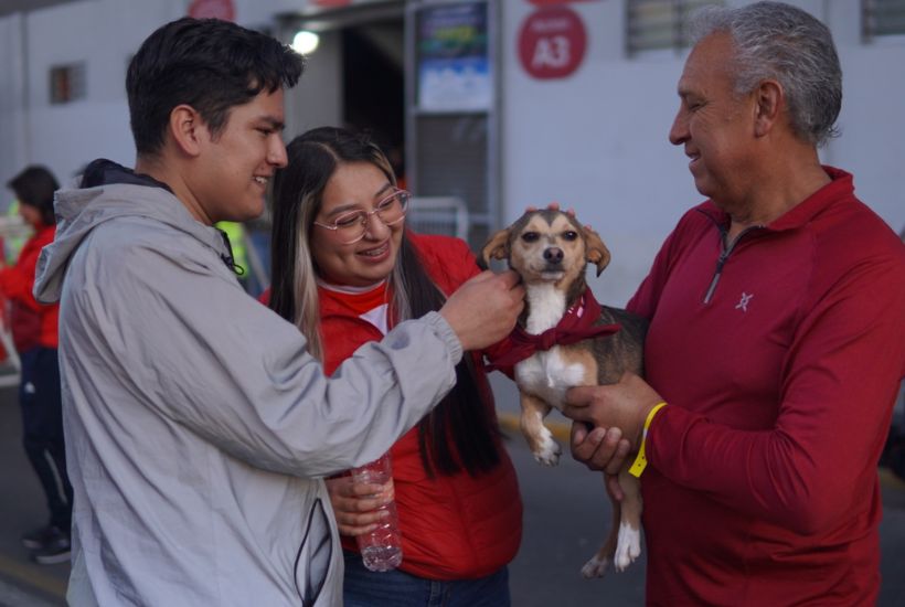 adopción de perritos responsable