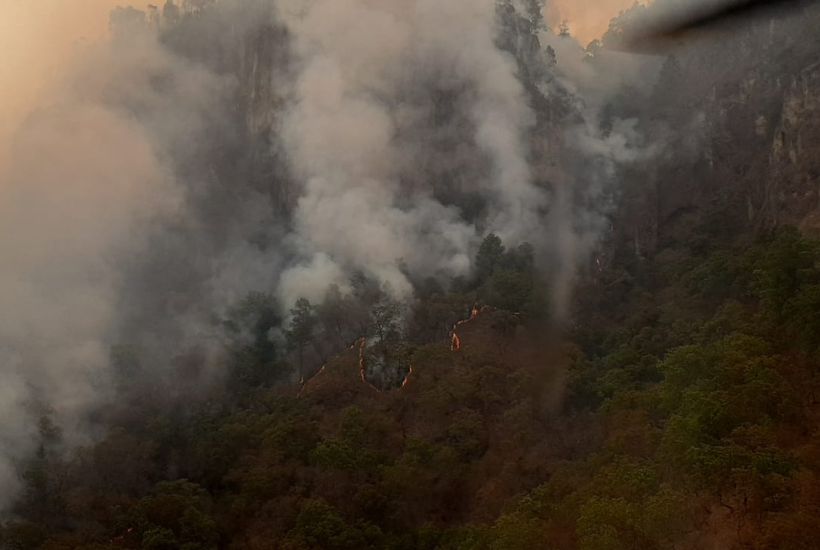 incendio predio de El Peñón 