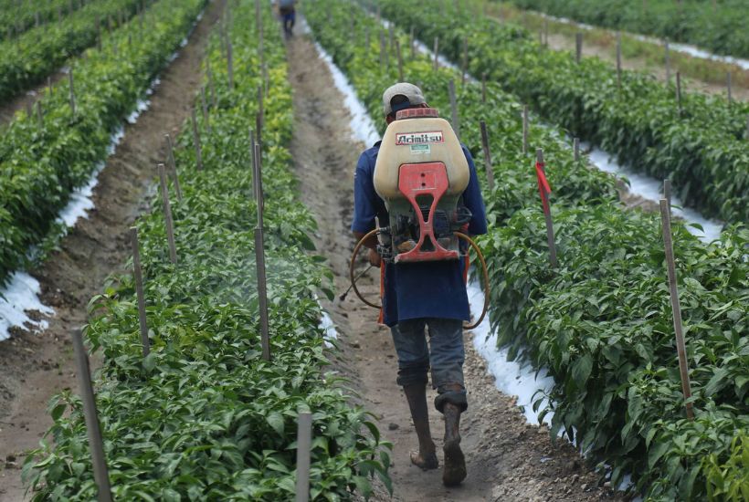 trabajador agrícola  