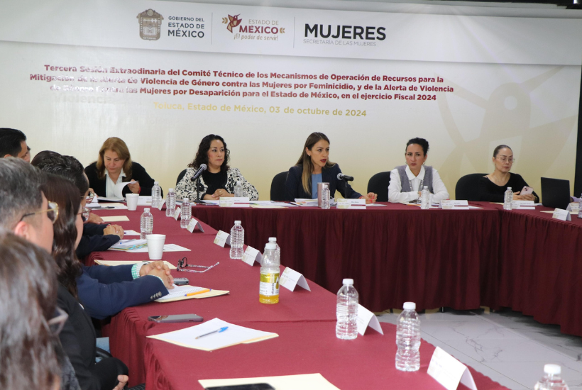 destinados a mitigar la Alerta de Violencia de Género por Feminicidio y Desaparición en los municipios