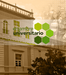 Enjambre Universitario